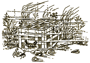 'Piratentage 2' - Illustration
